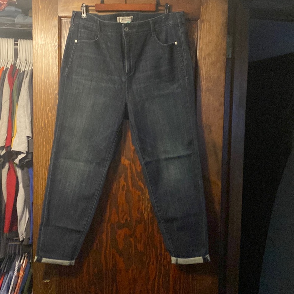 NWOT Pilcro denim from Anthropologie size 18